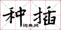 周炳元种插楷书怎么写