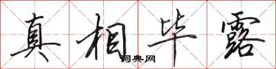 田英章真相毕露行书怎么写