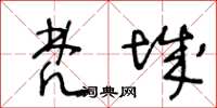 王冬龄梵城草书怎么写