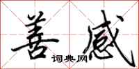 田英章善感行书怎么写