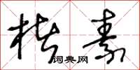 王冬龄楮素草书怎么写