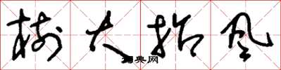 刘少英树大招风草书怎么写