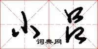 刘少英小吕草书怎么写