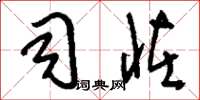 刘少英司怪草书怎么写