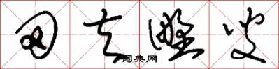 刘少英田夫野叟草书怎么写