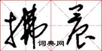 刘少英拂晨草书怎么写