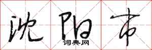 段相林沈阳市行书怎么写