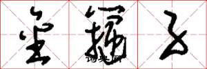 刘少英金箍子草书怎么写