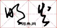 刘少英明火草书怎么写