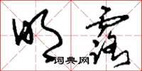 刘少英明露草书怎么写