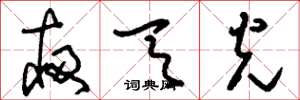 刘少英夜天光草书怎么写