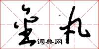 刘少英金丸草书怎么写