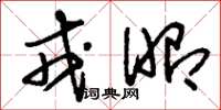 刘少英戎昭草书怎么写