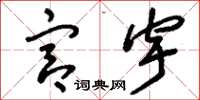 刘少英宫宇草书怎么写