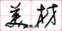 刘少英美材草书怎么写