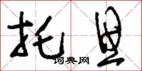 刘少英托思草书怎么写