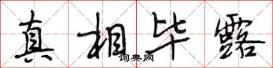 段相林真相毕露行书怎么写