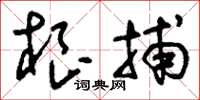 刘少英根捕草书怎么写