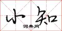 段相林小知行书怎么写