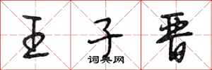 段相林王子晋行书怎么写