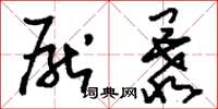 刘少英厌暴草书怎么写