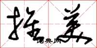 刘少英推美草书怎么写