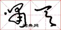 刘少英啸天草书怎么写