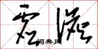 刘少英虚澹草书怎么写