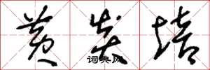 刘少英黄炎培草书怎么写