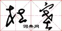 刘少英杜塞草书怎么写