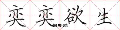 田英章奕奕欲生楷书怎么写