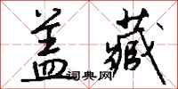 钱沛云盖藏行书怎么写