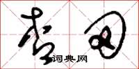 刘少英杏田草书怎么写