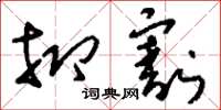 刘少英抑割草书怎么写