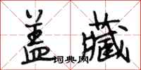 段相林盖藏行书怎么写