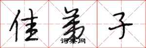 段相林佳弟子行书怎么写
