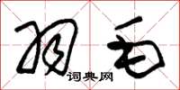 朱锡荣羽毛草书怎么写