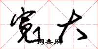 朱锡荣宽大草书怎么写