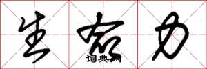 朱锡荣生命力草书怎么写