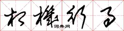 朱锡荣相机行事草书怎么写