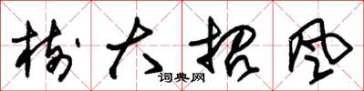 朱锡荣树大招风草书怎么写