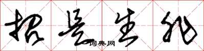 朱锡荣招是生非草书怎么写