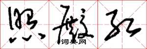 刘少英照殿红草书怎么写