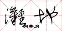 王冬龄滩地草书怎么写