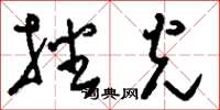 刘少英播光草书怎么写