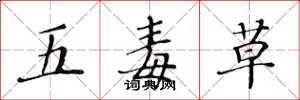 黄华生五毒草楷书怎么写