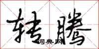 段相林转腾行书怎么写