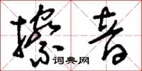 刘少英擦音草书怎么写