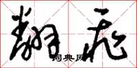 刘少英翻飞草书怎么写