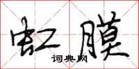 段相林虹膜行书怎么写